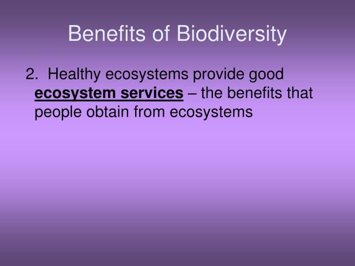 pros of biodiversity